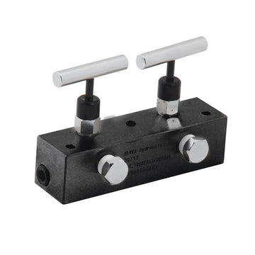 BVA Hydraulics - Manifold Block 2 Needle Valves 6" | Hydraulic Manifolds