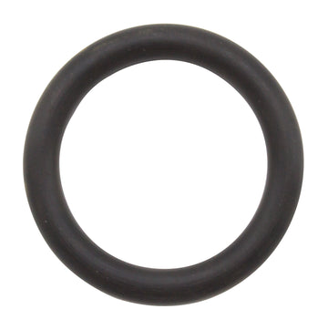 REED Nonstk O-Ring F/Tm1000" Swing Pin  High-Strength Component for Equipment Repair and Tooling by Reed Mfg - Pipeline Tool