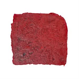 BonWay Bon 32 - 665 Skinny Mat - Forest Floor 24" X 24" | Decorative Concrete Tool for Pros - Bayou Tool