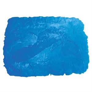 BonWay Bon 32 - 681 Fossil Stamp - Archaeopteryx | Decorative Concrete Tool for Pros - Bayou Tool