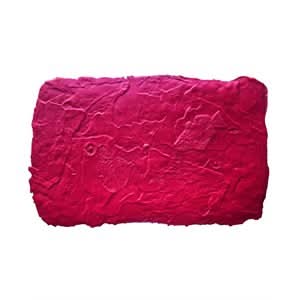 BonWay Bon 32 - 683 Fossil Stamp - Sea Floor | Decorative Concrete Tool for Pros - Bayou Tool