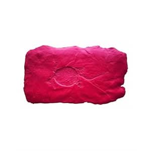 BonWay Bon 32 - 685 Fossil Stamp - Turtle | Decorative Concrete Tool for Pros - Bayou Tool