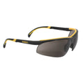 DEWALT DPG55 DC Protective Eyewear - Bayou Tool
