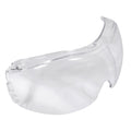 Radians Cloak Dual Mold Goggle Replacement Lens - Bayou Tool