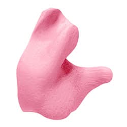 Radians Custom Earplugs - Noise Reduction and Comfort in a Polybag Perfect for Optimal Hearing Protection - Bayou Tool