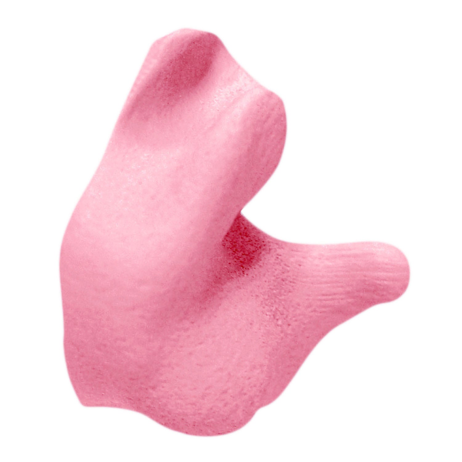 Radians Custom Molded Earplugs - Bayou Tool