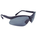 Radians Revelation Safety Eyewear - Bayou Tool